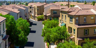 Arrow Vista Village Gallery 80