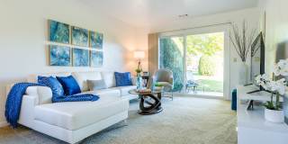 Waters Landing Apartment Gallery 5