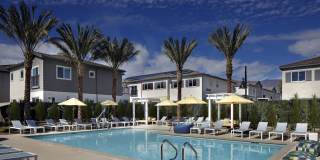 Serena Village Townhomes Gallery 6