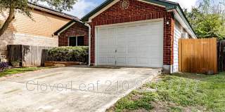 10343 Lion Chase Gallery 2
