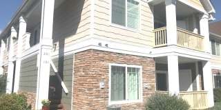 4605 Hahns Peak Drive #202 Gallery 1