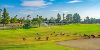 67330 W Chimayo Drive Gallery 16