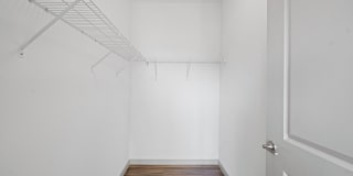 The Washingtons Gallery 5