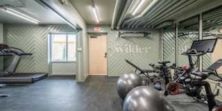 The Wilder Gallery 17