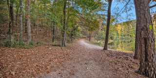 Tributary Rise Gallery 51