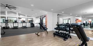 Citrus Place Gallery 36