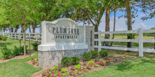 Plum Tree Apartments Gallery 32