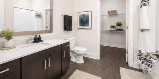 Society Westshore Apartments Gallery 15