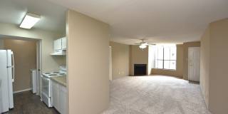 Wilshire Park Gallery 16