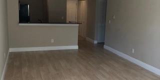 1845 Palm Cove Boulevard Gallery 10