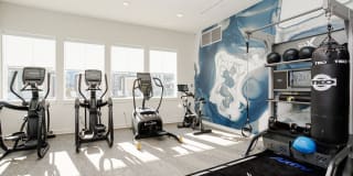 Whetstone Flats Gallery 19