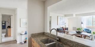 The Magnolia Gallery 24