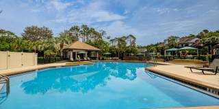 Paradise Island Gallery 42