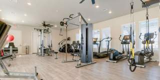 BB Living Light Farms Gallery 43