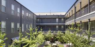 Thrive Argenta Gallery 22