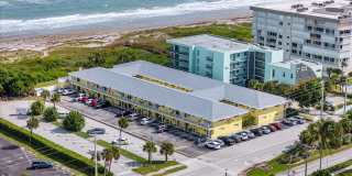 Dolphin Beach Gallery 29