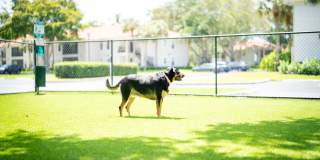 Mizner Court Gallery 38