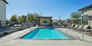 Carrington Square Gallery 17