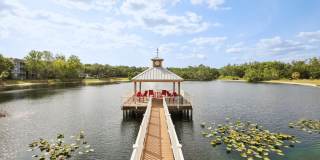 Sole at Citrus Park Gallery 2