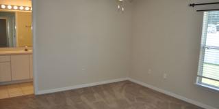 Ready to Rent Gallery 14