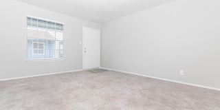 Banyan Cove Gallery 40