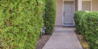 Updated Interior ! Spacious 2 Bedroom 2.5 Bath Town home close to Intel and Nike Gallery 3