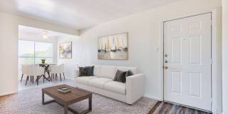 The Palm on SPID Gallery 13