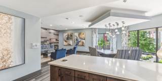 Terra at University North Park Gallery 14