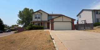 1155 Costigan Dr Gallery 1