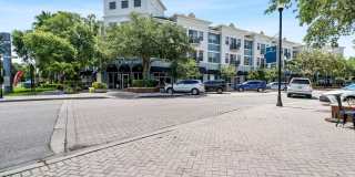 Beautiful Westchase Rental – Prime Location Gallery 33
