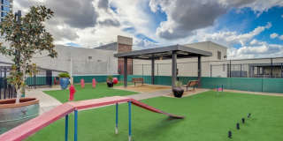 Arrive River Oaks Gallery 36