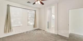 2927 N Augustine 2927 N Augustine Gallery 28