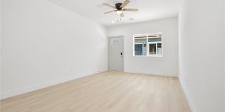 2001 S Dandelion Street Gallery 6