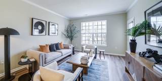 Aven at Newton Highlands Gallery 17