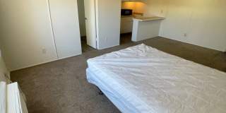 Studio Apartment on Las Vegas Strip - Close to all of the Excitement & More!! Gallery 23