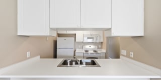 4659 Parrau Dr Gallery 9