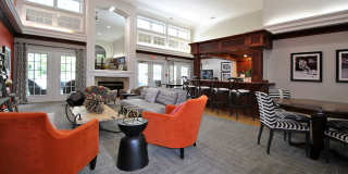 The Chapman Gallery 25