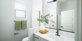 Canopy at Sundance Gallery 22