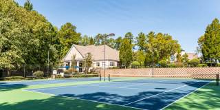 Magnolia at Milton Gallery 21