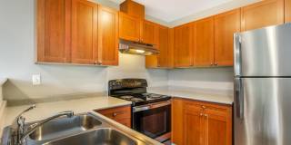 Terrace View Gallery 4