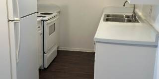 Buena Vida Gallery 5