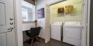 Muse at SoCo Gallery 19