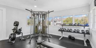 Polo Club Polo Club Gallery 30