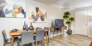 Agave Apartments Gallery 8