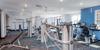 Meridian at the Port Gallery 49