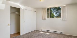 Dolphin Apartments Gallery 15