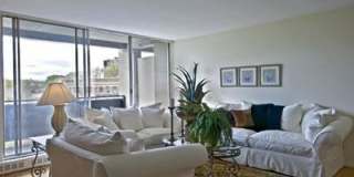 129 Chiswick Rd. Gallery 1