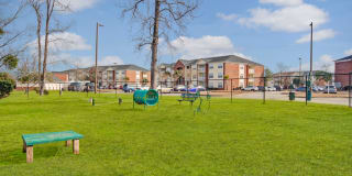 Seaside Grove Gallery 15