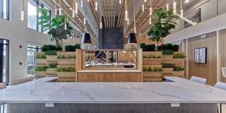 Compass at The Grove Gallery 21