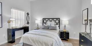 La Serena at the Parque Gallery 16